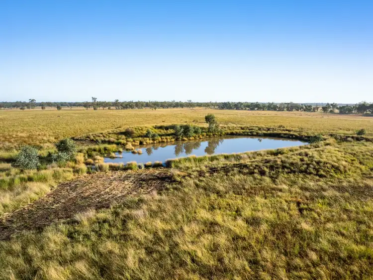 Sixth view of Homely rural property listing, 300 Bindango Road, Roma QLD 4455