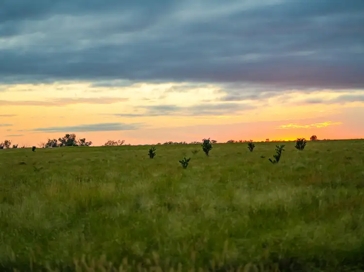 Seventh view of Homely rural property listing, 300 Bindango Road, Roma QLD 4455