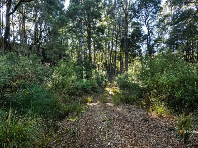 Second view of Homely rural property listing, 0 Pages Road, Moorleah TAS 7325