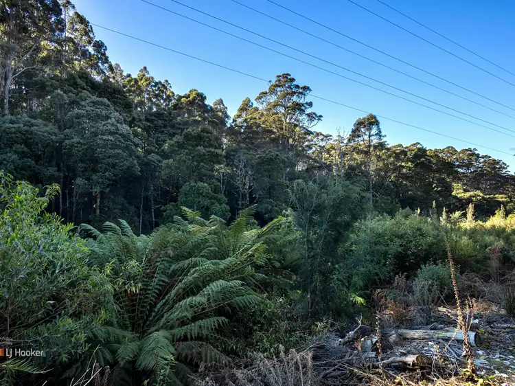 Third view of Homely rural property listing, 0 Pages Road, Moorleah TAS 7325