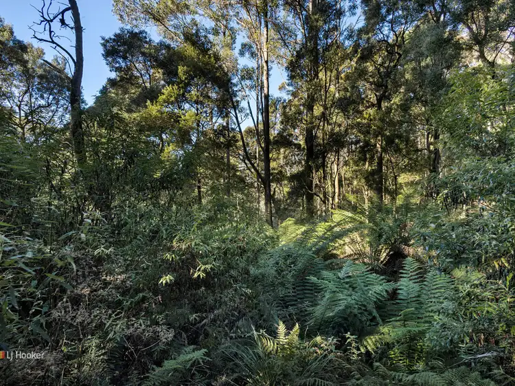 Fourth view of Homely rural property listing, 0 Pages Road, Moorleah TAS 7325
