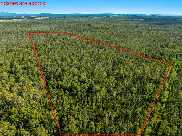Second view of Homely land listing, 2155 Myall Creek Road, West Bungawalbin NSW 2471