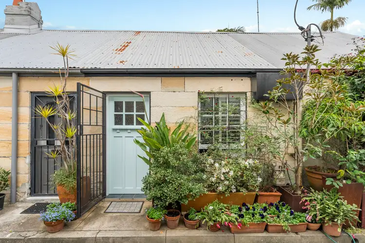 8 Mcelhone Place, Surry Hills NSW 2010