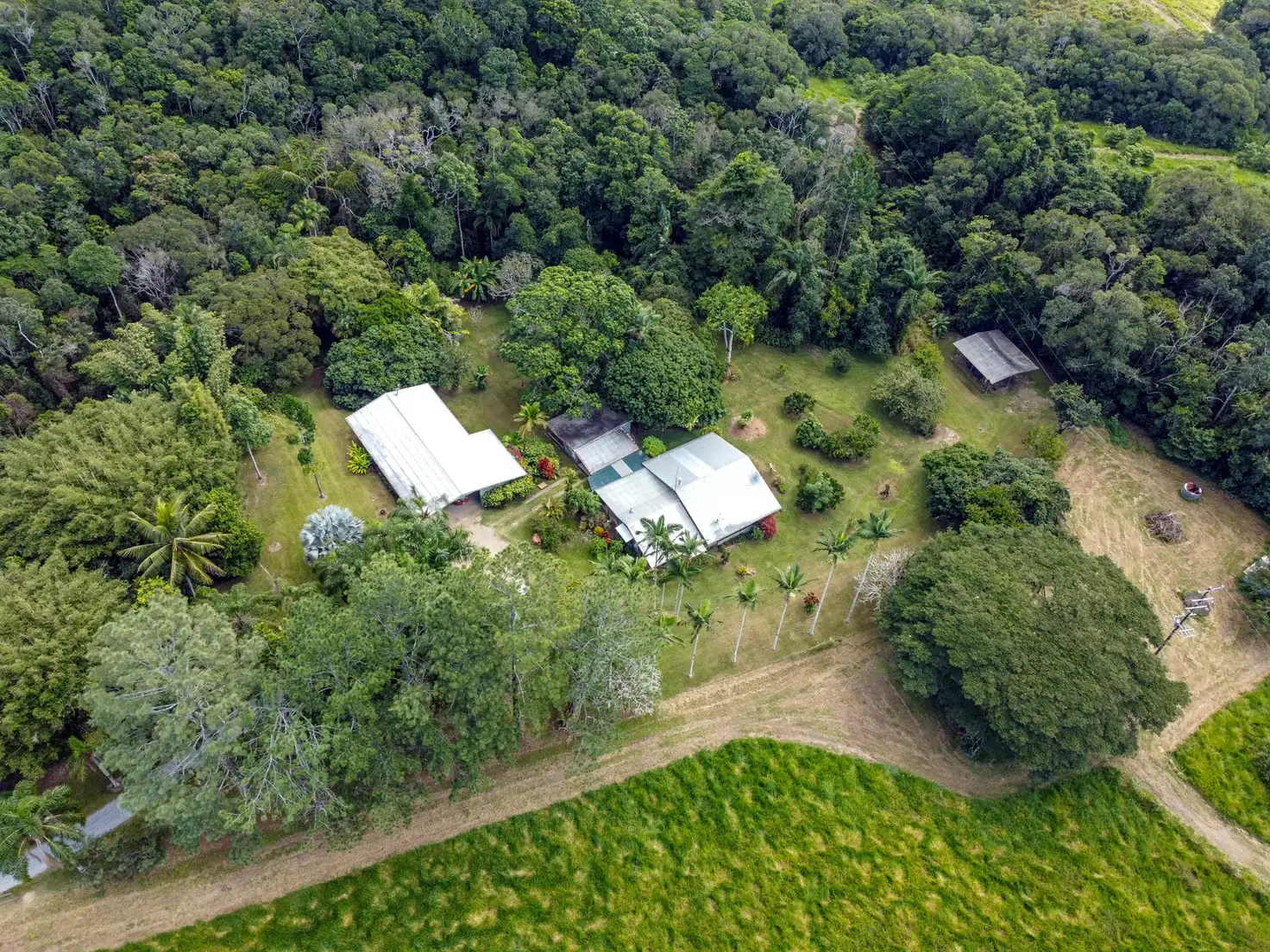Main view of Homely house listing, 4414 Black Mountain Road, Julatten QLD 4871