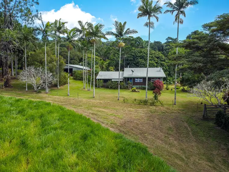 Sixth view of Homely house listing, 4414 Black Mountain Road, Julatten QLD 4871
