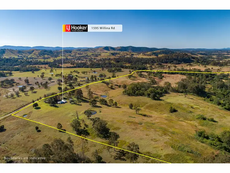 Second view of Homely rural property listing, 1595 Willina Road, Bunyah NSW 2429