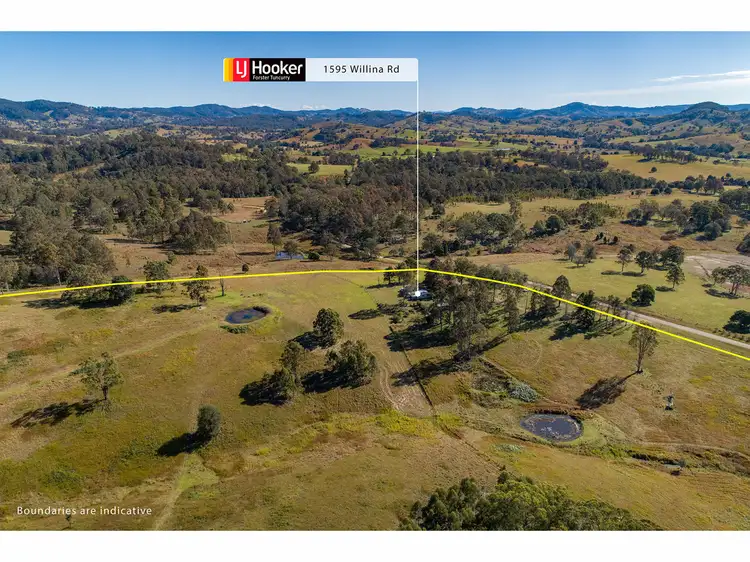 Fourth view of Homely rural property listing, 1595 Willina Road, Bunyah NSW 2429