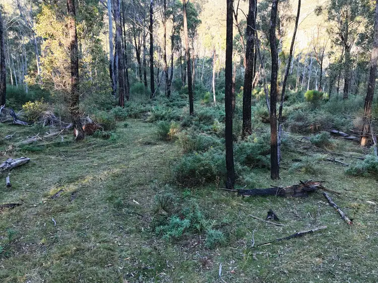 Second view of Homely land listing, Lot 42 Yankees Gap Road, Bemboka NSW 2550