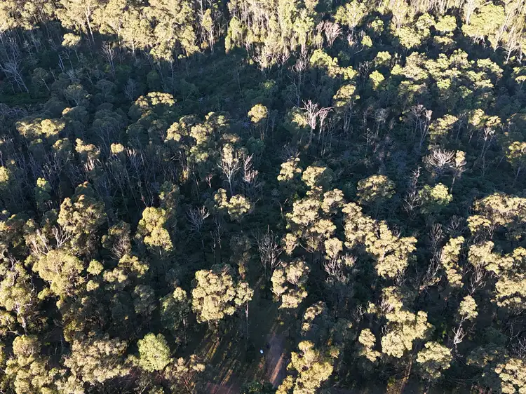 Fifth view of Homely land listing, Lot 42 Yankees Gap Road, Bemboka NSW 2550