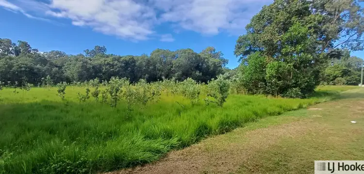 Fifth view of Homely land listing, Lot 7 Tully Heads Road, Hull Heads QLD 4854