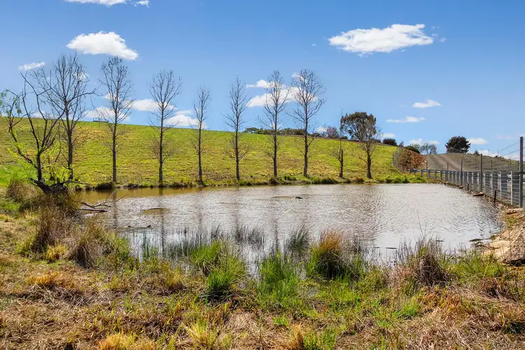 Fifth view of Homely rural property listing, 1497 Sutton Road, Sutton NSW 2620