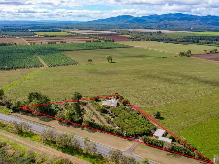 Second view of Homely house listing, 7207 Kennedy Highway, Tolga QLD 4882
