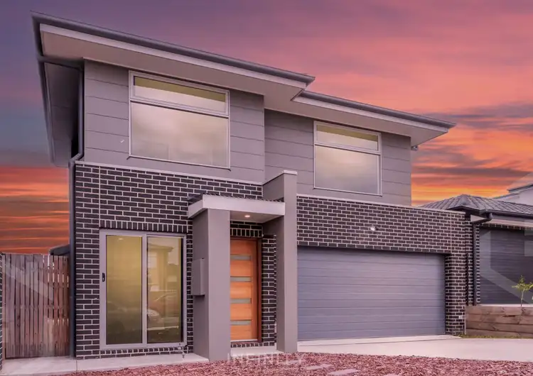 Third view of Homely house listing, 21 Yellowfin Street, Throsby ACT 2914