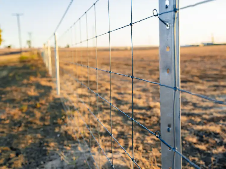 Sixth view of Homely land listing, Lot 3 Geoghegan Road, Roma QLD 4455