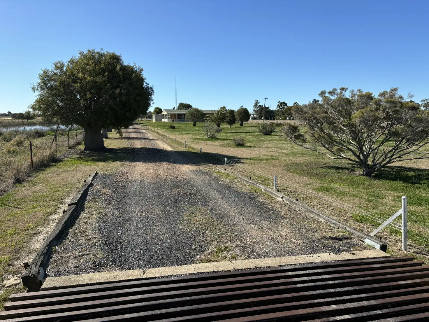 Main view of Homely rural property listing, 52 Polo Rd, Goondiwindi QLD 4390