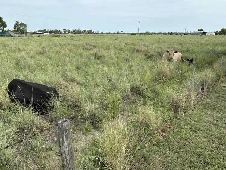 Fourth view of Homely rural property listing, 52 Polo Rd, Goondiwindi QLD 4390
