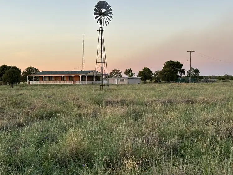 Fifth view of Homely rural property listing, 52 Polo Rd, Goondiwindi QLD 4390