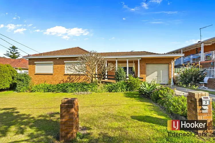 3 Aladore Avenue, Cabramatta NSW 2166