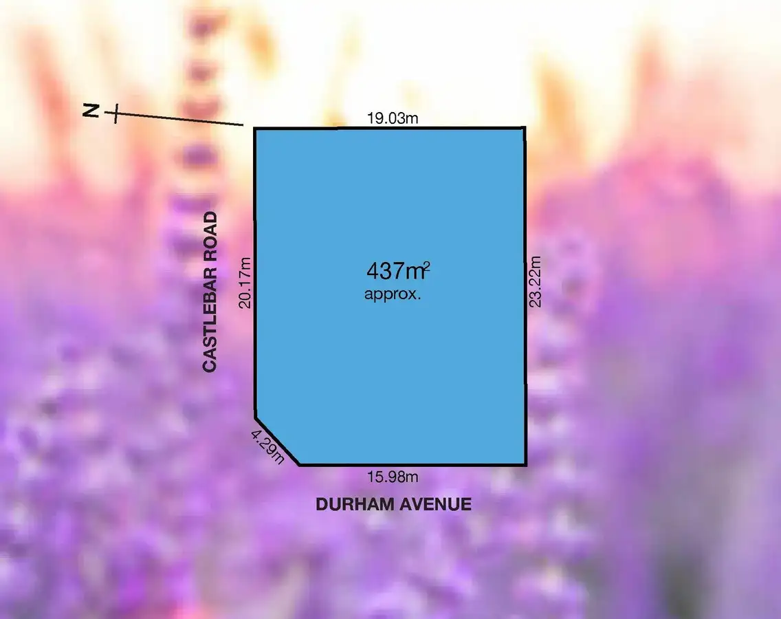 Main view of Homely land listing, 11 Durham Avenue, Lockleys SA 5032