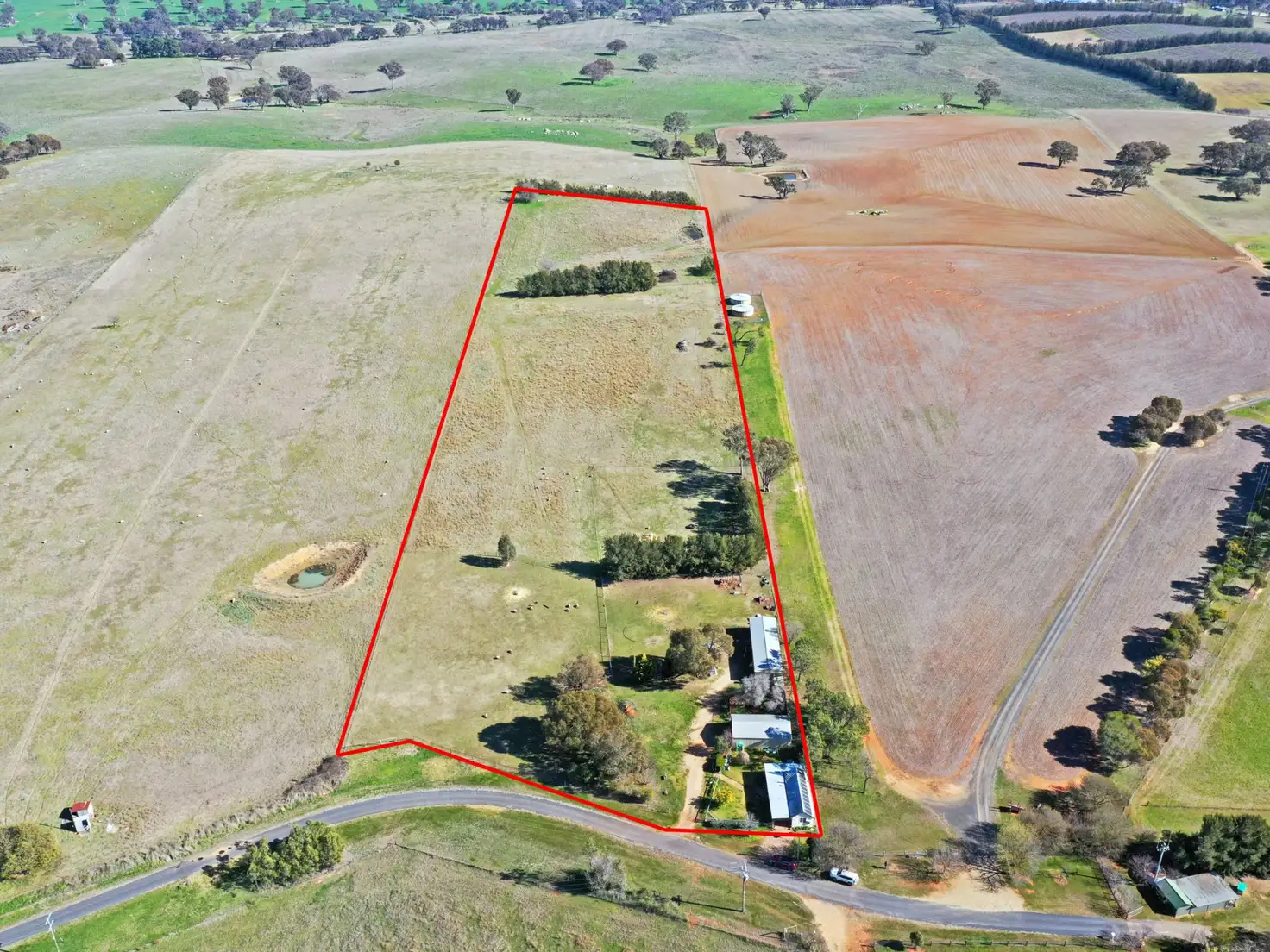 Main view of Homely house listing, 163 Prunevale Rd Prunevale via, Young NSW 2594