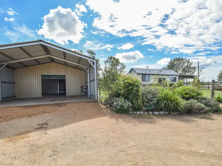 Sixth view of Homely house listing, 163 Prunevale Rd Prunevale via, Young NSW 2594