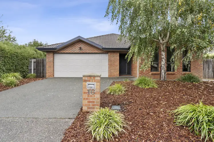16 Phantom Street, Harrison ACT 2914