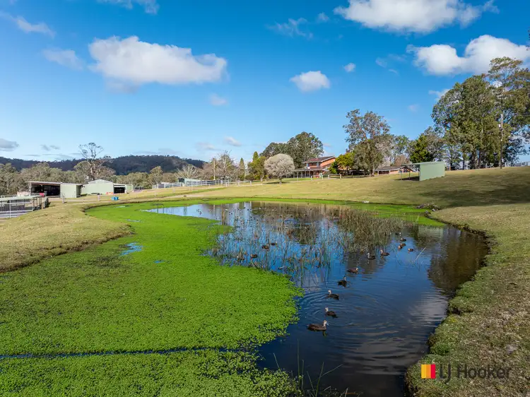 Fifth view of Homely rural property listing, 470 Larrys Mountain Road, Mogendoura NSW 2537