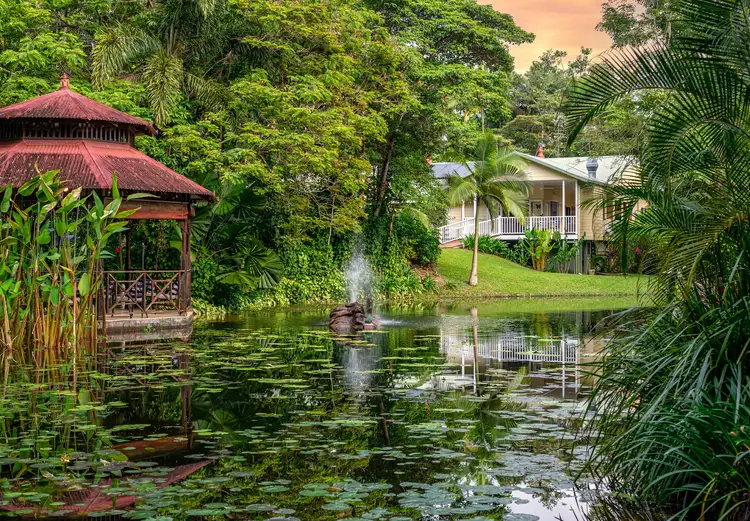3 Trinity Close, Julatten QLD 4871