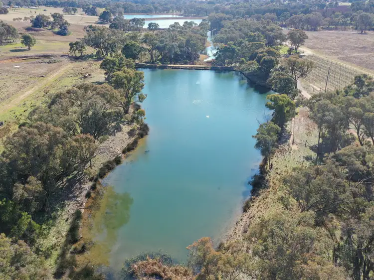 155 Tierneys Road, Young NSW 2594