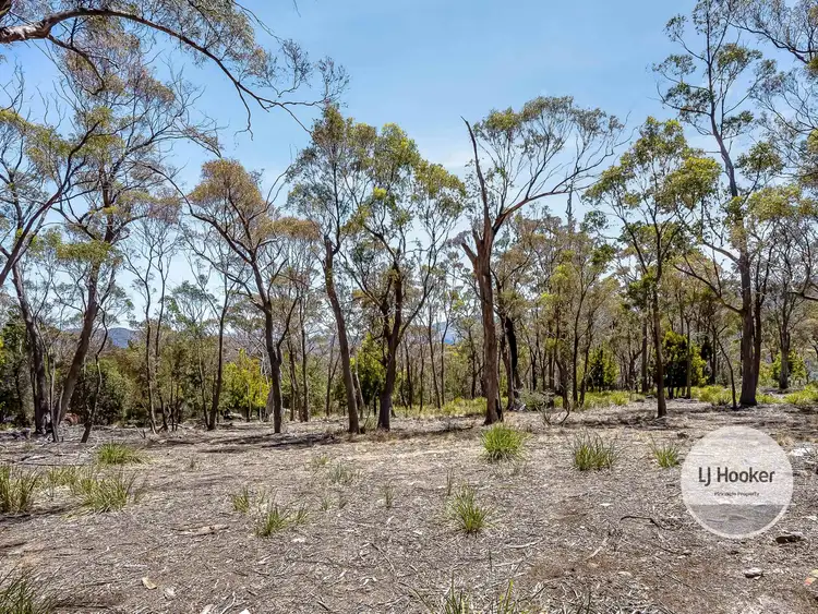 Seventh view of Homely land listing, 484 Molesworth Road, Molesworth TAS 7140