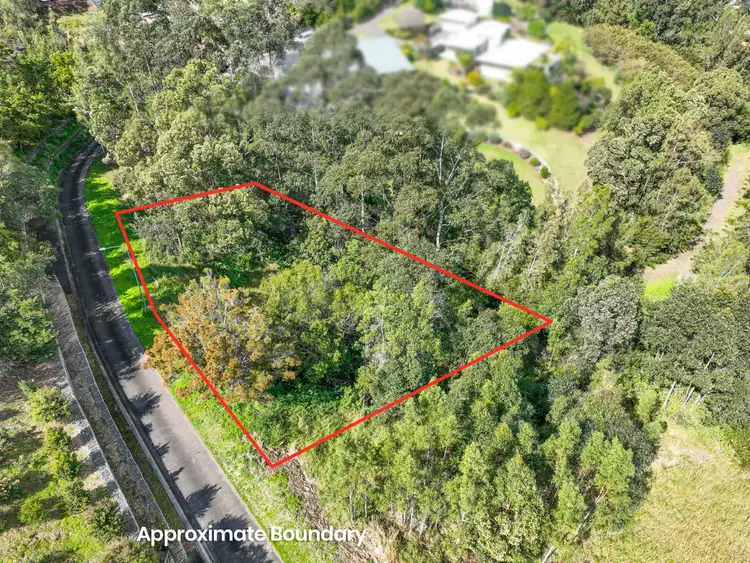 Fifth view of Homely land listing, 13 Lorikeet Way, Tallwoods Village NSW 2430