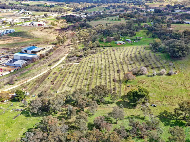 56 Rockdale Road, Young NSW 2594