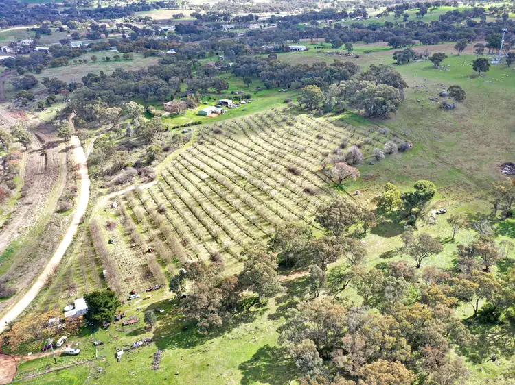 Second view of Homely land listing, 56 Rockdale Road, Young NSW 2594