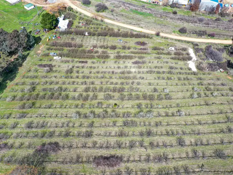Third view of Homely land listing, 56 Rockdale Road, Young NSW 2594