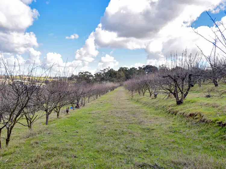 Fifth view of Homely land listing, 56 Rockdale Road, Young NSW 2594