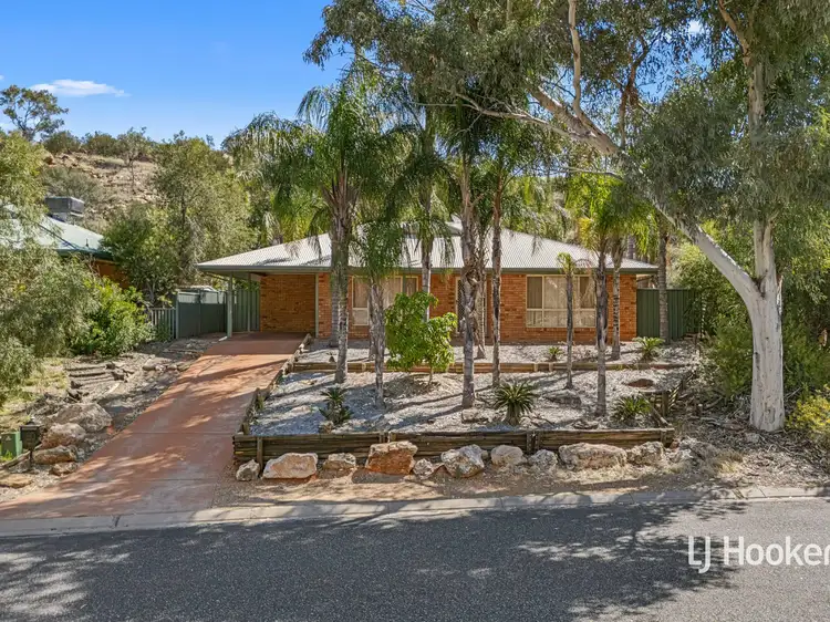 11 Terry Court, Araluen NT 870