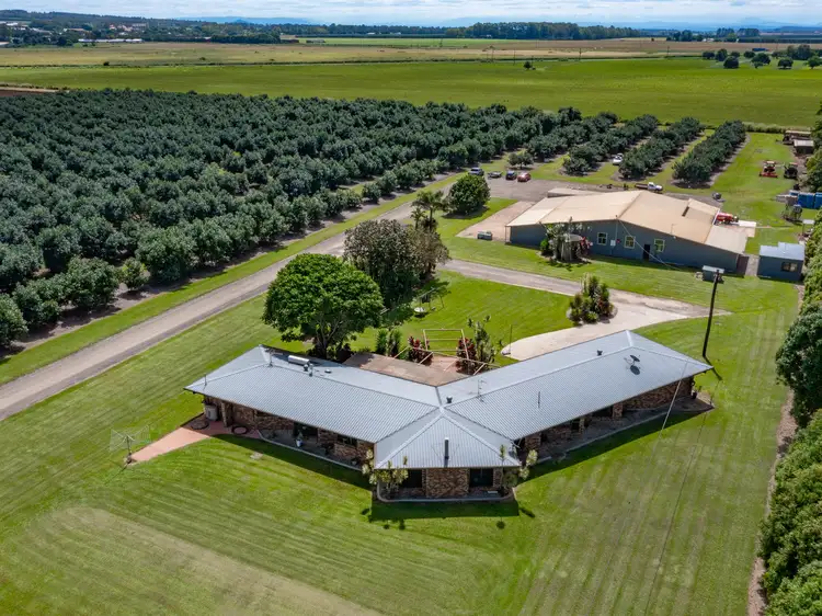 Main view of Homely rural property listing, 119 Beantree Road, Atherton QLD 4883