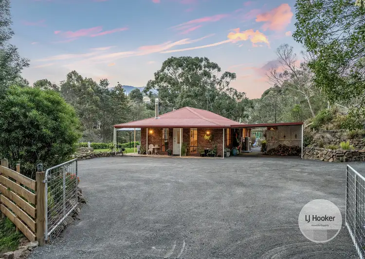 31 Proctors Road