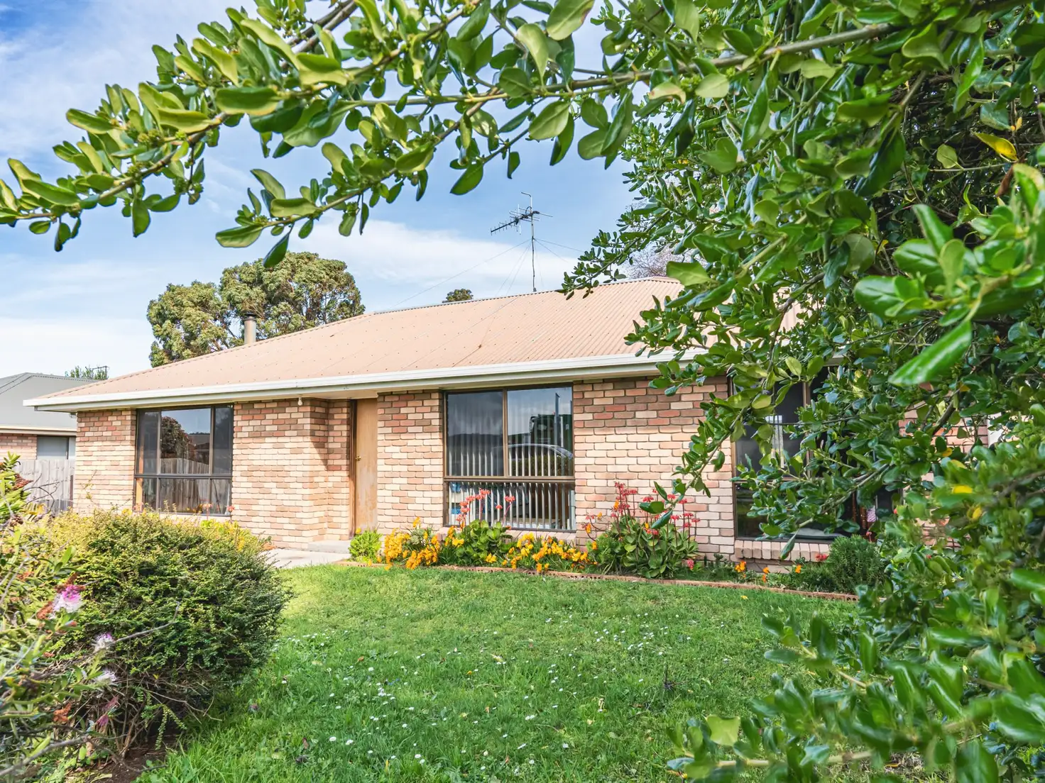 Main view of Homely house listing, 79 Tully Street, St Helens TAS 7216