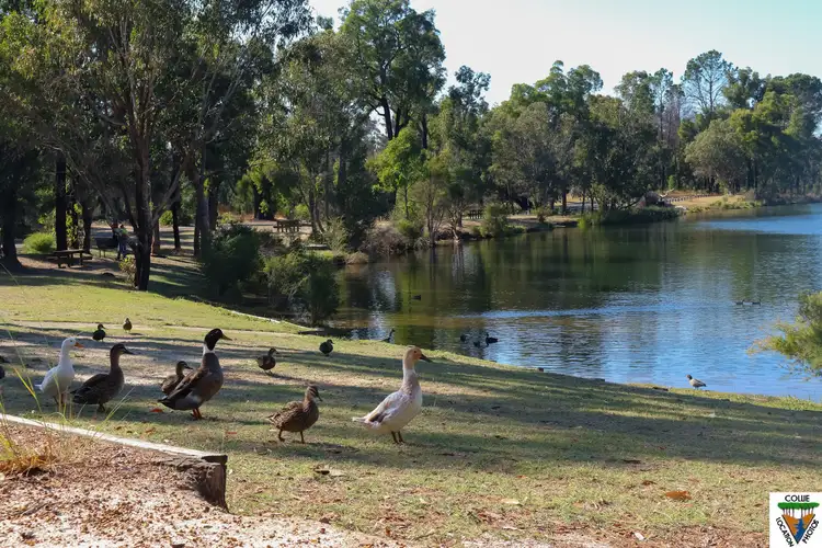 Sixth view of Homely land listing, 21 Irwin Street, Collie WA 6225