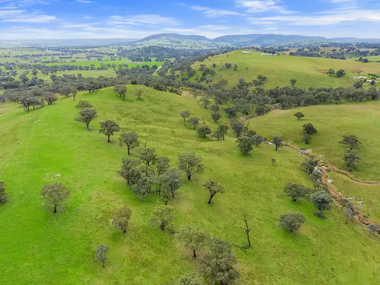 Fifth view of Homely rural property listing, 1934 Murringo Road Murringo via, Young NSW 2594