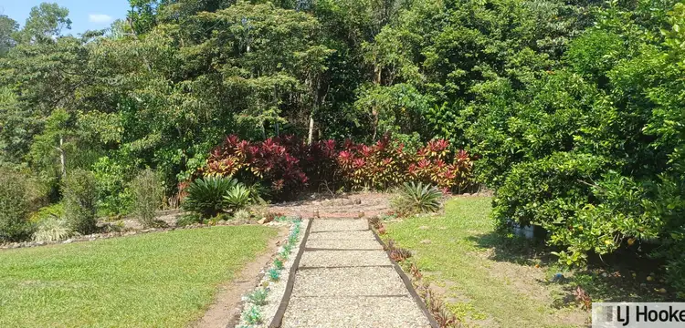 Third view of Homely rural property listing, 335 Dingo Pocket Road, Tully QLD 4854