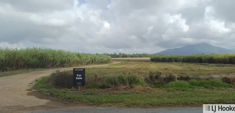 Main view of Homely land listing, Lot 1 Jack Evans Drive, Silky Oak QLD 4854