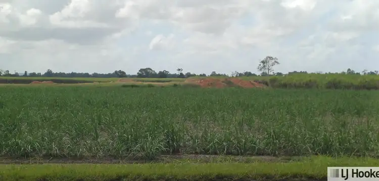 Second view of Homely land listing, Lot 1 Jack Evans Drive, Silky Oak QLD 4854