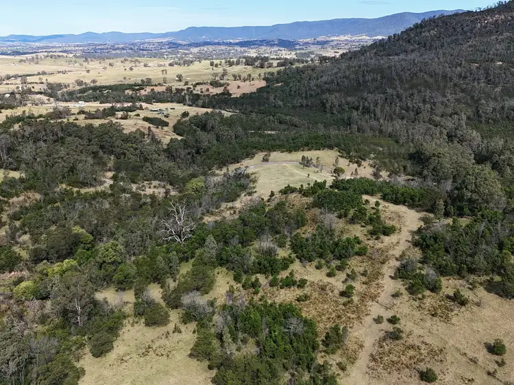 Third view of Homely land listing, 238 Moons Road, Bemboka NSW 2550