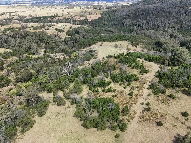 Fifth view of Homely land listing, 238 Moons Road, Bemboka NSW 2550