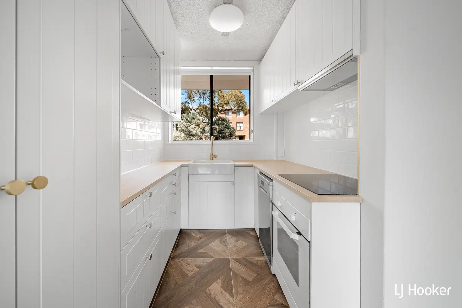 Main view of Homely apartment listing, 13/28 Springvale Drive, Hawker ACT 2614