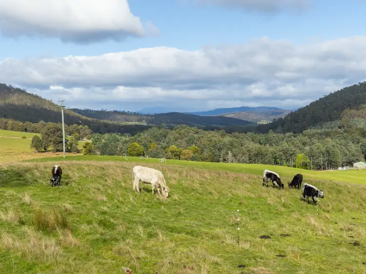 Fifth view of Homely land listing, Lot 2 Sculthorpes, Nicholls Rivulet TAS 7112