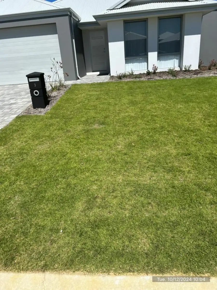 Main view of Homely house listing, 3 Tapin Street, Yanchep WA 6035