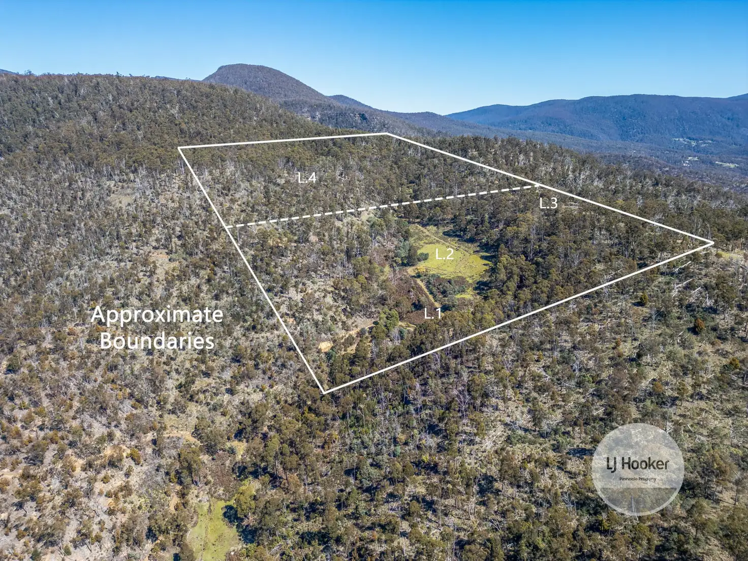 Main view of Homely rural property listing, 362A Ringwood Road, Lachlan TAS 7140